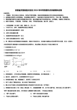 安徽省灵璧县重点名校2024年中考物理对点突破模拟试卷含解析.doc