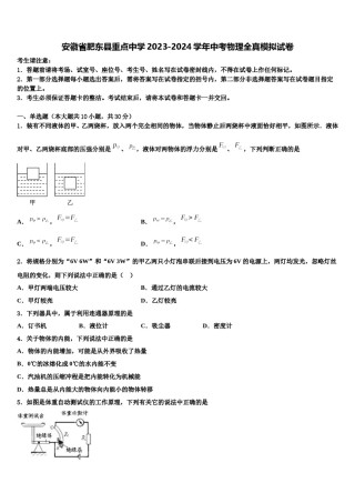 安徽省肥东县重点中学2023-2024学年中考物理全真模拟试卷含解析.doc