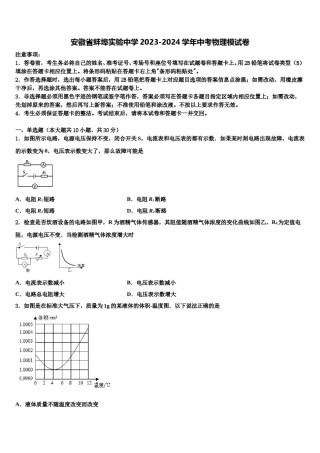 安徽省蚌埠实验中学2023-2024学年中考物理模试卷含解析.doc