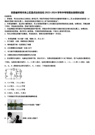 安徽省蚌埠市淮上区重点达标名校2023-2024学年中考物理全真模拟试题含解析.doc