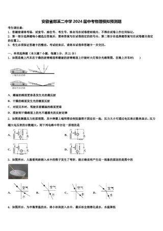 安徽省郎溪二中学2024届中考物理模拟预测题含解析.doc