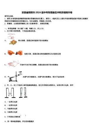安徽省铜陵市2024届中考物理最后冲刺浓缩精华卷含解析.doc