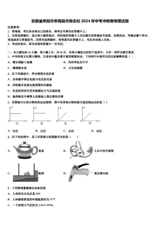 安徽省阜阳市阜南县市级名校2024年中考冲刺卷物理试题含解析.doc
