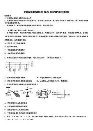 安徽省阜阳市颍州区2024年中考四模物理试题含解析.doc