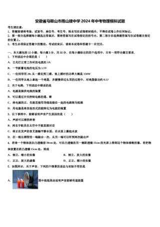安徽省马鞍山市雨山建中学2024年中考物理模拟试题含解析.doc