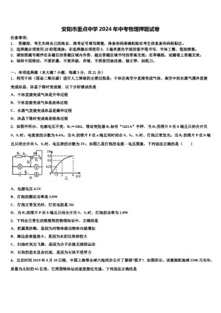 安阳市重点中学2024年中考物理押题试卷含解析.doc
