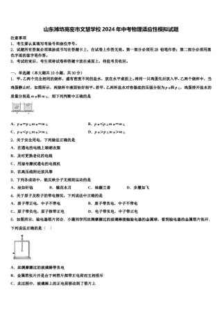 山东潍坊高密市文慧学校2024年中考物理适应性模拟试题含解析.doc
