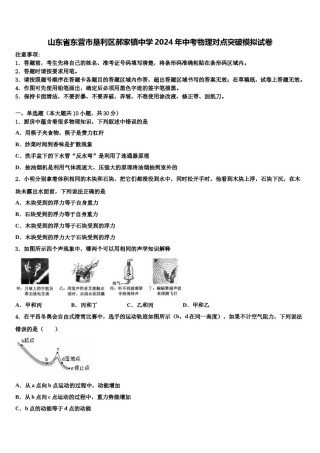 山东省东营市垦利区郝家镇中学2024年中考物理对点突破模拟试卷含解析.doc