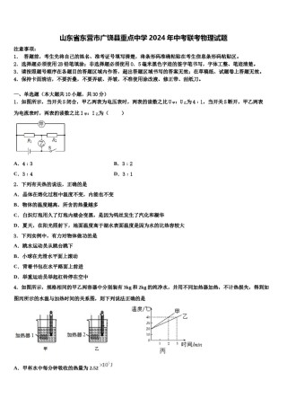 山东省东营市广饶县重点中学2024年中考联考物理试题含解析.doc