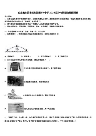 山东省东营市胜利油田59中学2024届中考押题物理预测卷含解析.doc