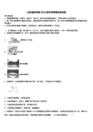 山东省东阿县2024届中考物理仿真试卷含解析.doc
