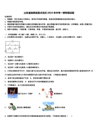 山东省临朐县重点名校2024年中考一模物理试题含解析.doc