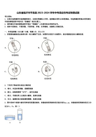山东省临沂市平邑县2023-2024学年中考适应性考试物理试题含解析.doc