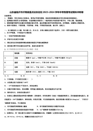 山东省临沂市沂南县重点达标名校2023-2024学年中考物理考试模拟冲刺卷含解析.doc