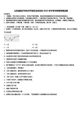 山东省临沂市经济开发区达标名校2024年中考冲刺卷物理试题含解析.doc