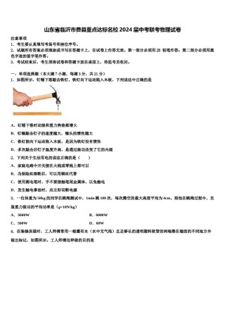 山东省临沂市费县重点达标名校2024届中考联考物理试卷含解析.doc