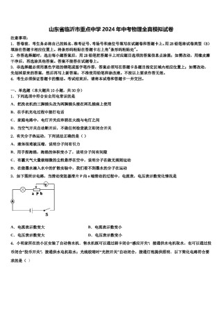 山东省临沂市重点中学2024年中考物理全真模拟试卷含解析.doc