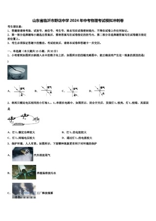 山东省临沂市野店中学2024年中考物理考试模拟冲刺卷含解析.doc