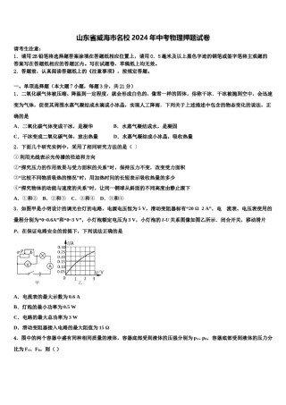 山东省威海市名校2024年中考物理押题试卷含解析.doc