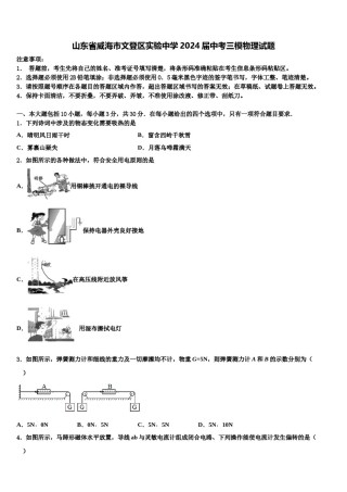 山东省威海市文登区实验中学2024届中考三模物理试题含解析.doc