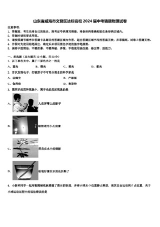 山东省威海市文登区达标名校2024届中考猜题物理试卷含解析.doc