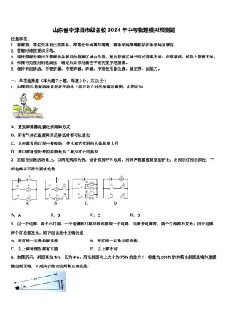 山东省宁津县市级名校2024年中考物理模拟预测题含解析.doc