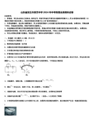 山东省安丘市景芝中学2024年中考物理全真模拟试卷含解析.doc