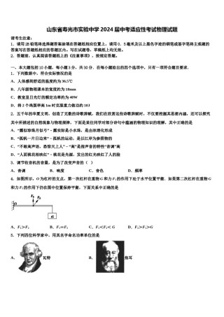 山东省寿光市实验中学2024届中考适应性考试物理试题含解析.doc