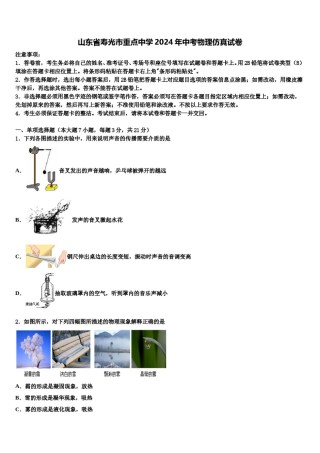 山东省寿光市重点中学2024年中考物理仿真试卷含解析.doc