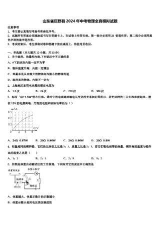 山东省巨野县2024年中考物理全真模拟试题含解析.doc