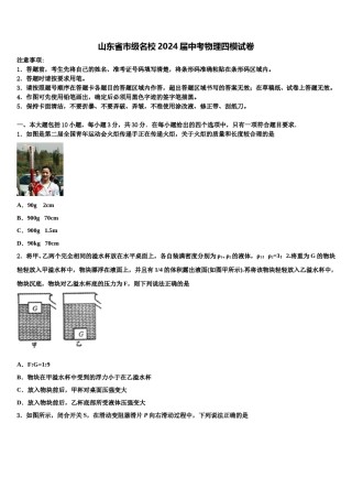 山东省市级名校2024届中考物理四模试卷含解析.doc