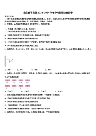 山东省平邑县2023-2024学年中考物理仿真试卷含解析.doc