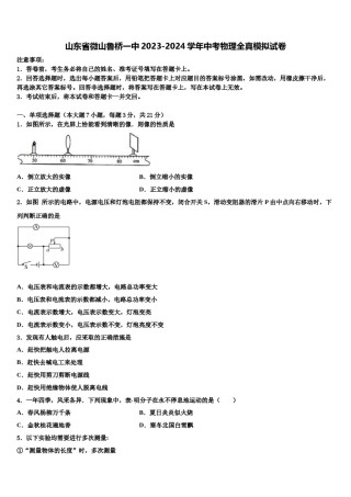 山东省微山鲁桥一中2023-2024学年中考物理全真模拟试卷含解析.doc