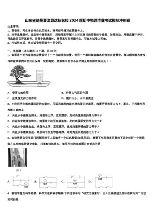 山东省德州夏津县达标名校2024届初中物理毕业考试模拟冲刺卷含解析.doc
