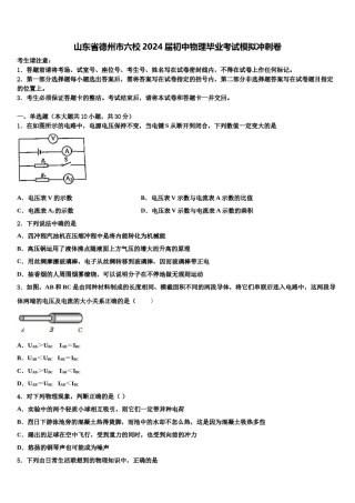 山东省德州市六校2024届初中物理毕业考试模拟冲刺卷含解析.doc