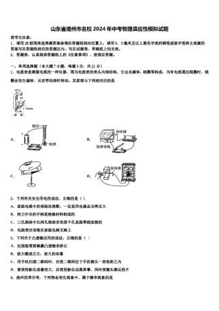 山东省德州市名校2024年中考物理适应性模拟试题含解析.doc