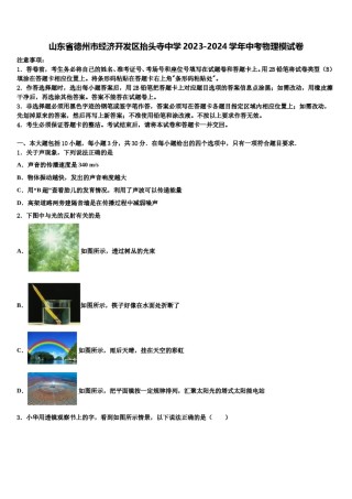 山东省德州市经济开发区抬头寺中学2023-2024学年中考物理模试卷含解析.doc