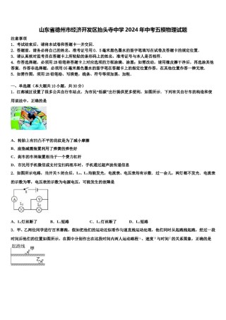 山东省德州市经济开发区抬头寺中学2024年中考五模物理试题含解析.doc