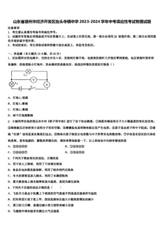 山东省德州市经济开发区抬头寺镇中学2023-2024学年中考适应性考试物理试题含解析.doc