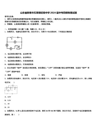 山东省新泰市石莱镇初级中学2024届中考四模物理试题含解析.doc