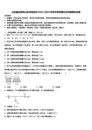 山东省日照岚山区市级名校2023-2024学年中考物理对点突破模拟试卷含解析.doc