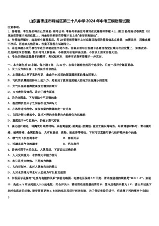 山东省枣庄市峄城区第二十八中学2024年中考三模物理试题含解析.doc