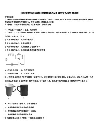 山东省枣庄市薛城区舜耕中学2024届中考五模物理试题含解析.doc