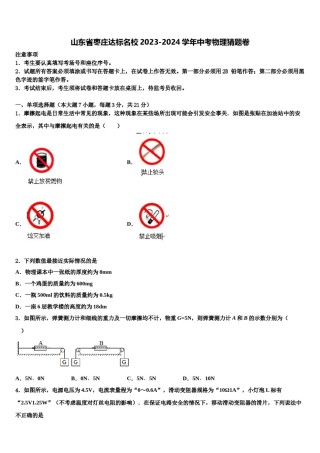 山东省枣庄达标名校2023-2024学年中考物理猜题卷含解析.doc
