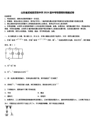 山东省武城县实验中学2024届中考物理模拟精编试卷含解析.doc