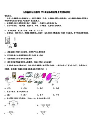 山东省武城县联考2024届中考物理全真模拟试题含解析.doc