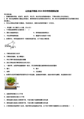 山东省沂南县2024年中考物理模试卷含解析.doc