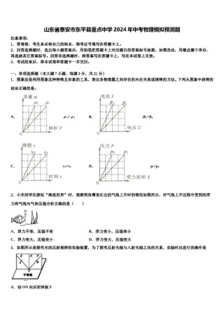 山东省泰安市东平县重点中学2024年中考物理模拟预测题含解析.doc