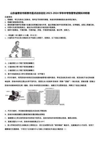 山东省泰安市新泰市重点达标名校2023-2024学年中考物理考试模拟冲刺卷含解析.doc