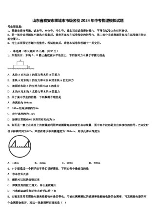 山东省泰安市肥城市市级名校2024年中考物理模拟试题含解析.doc